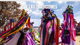 <span style="font-weight: bold;">Experiencias turisticas </span>